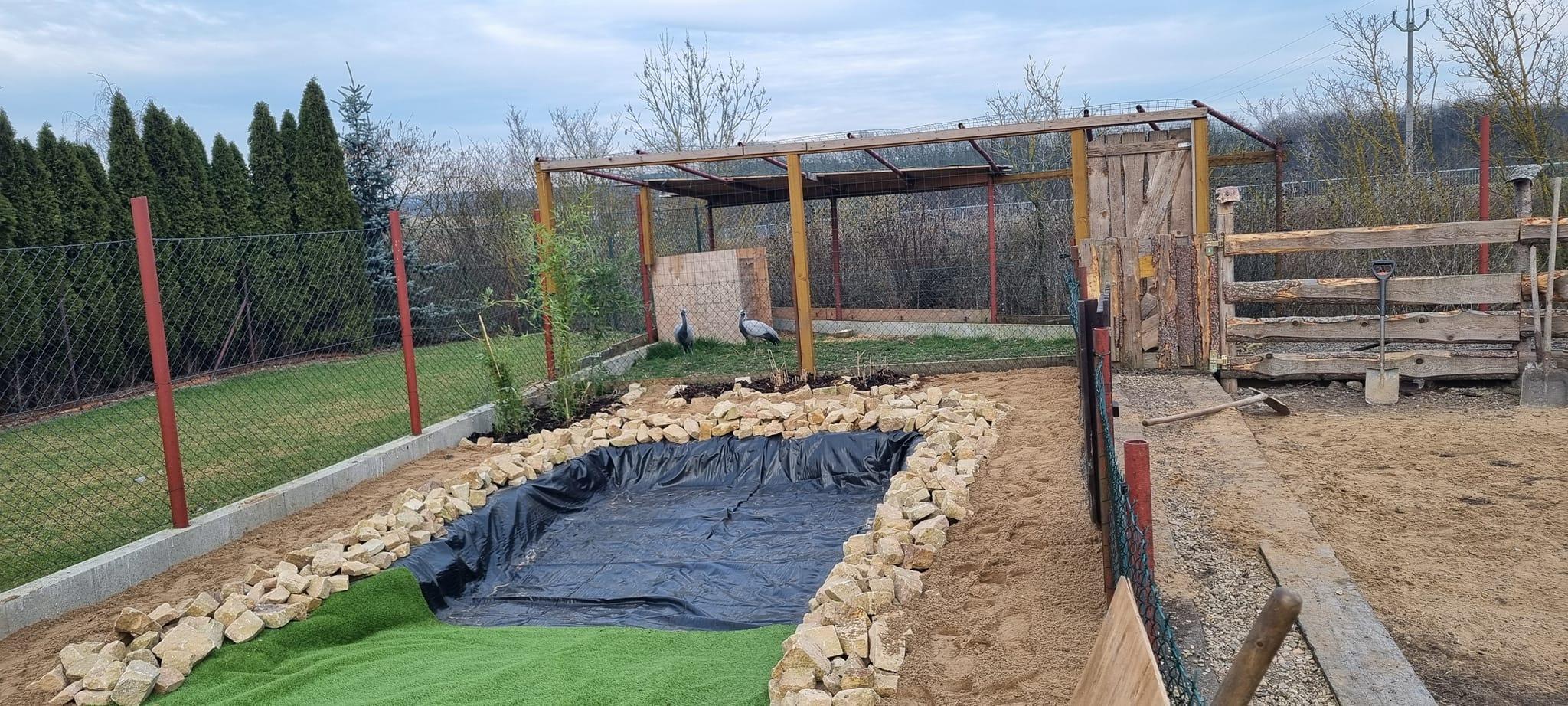 Chov kapybar v Zoo parku Česká Skalice: Jak se starat o neobyčejné ...